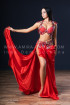 Professional bellydance costume (classic 179a)